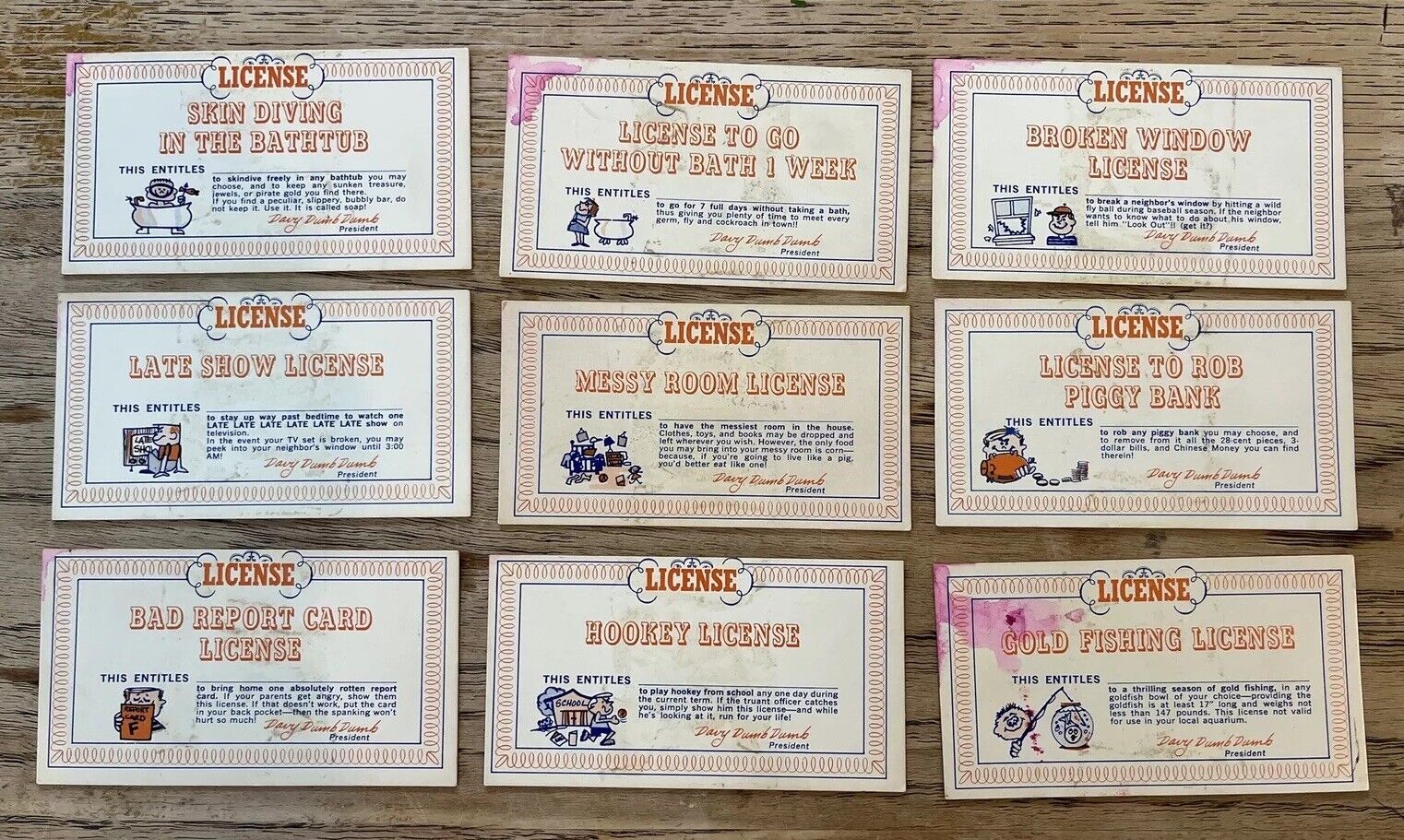 Lot Of  9 Vintage Novelty License Cards Davy Dumb Dumb