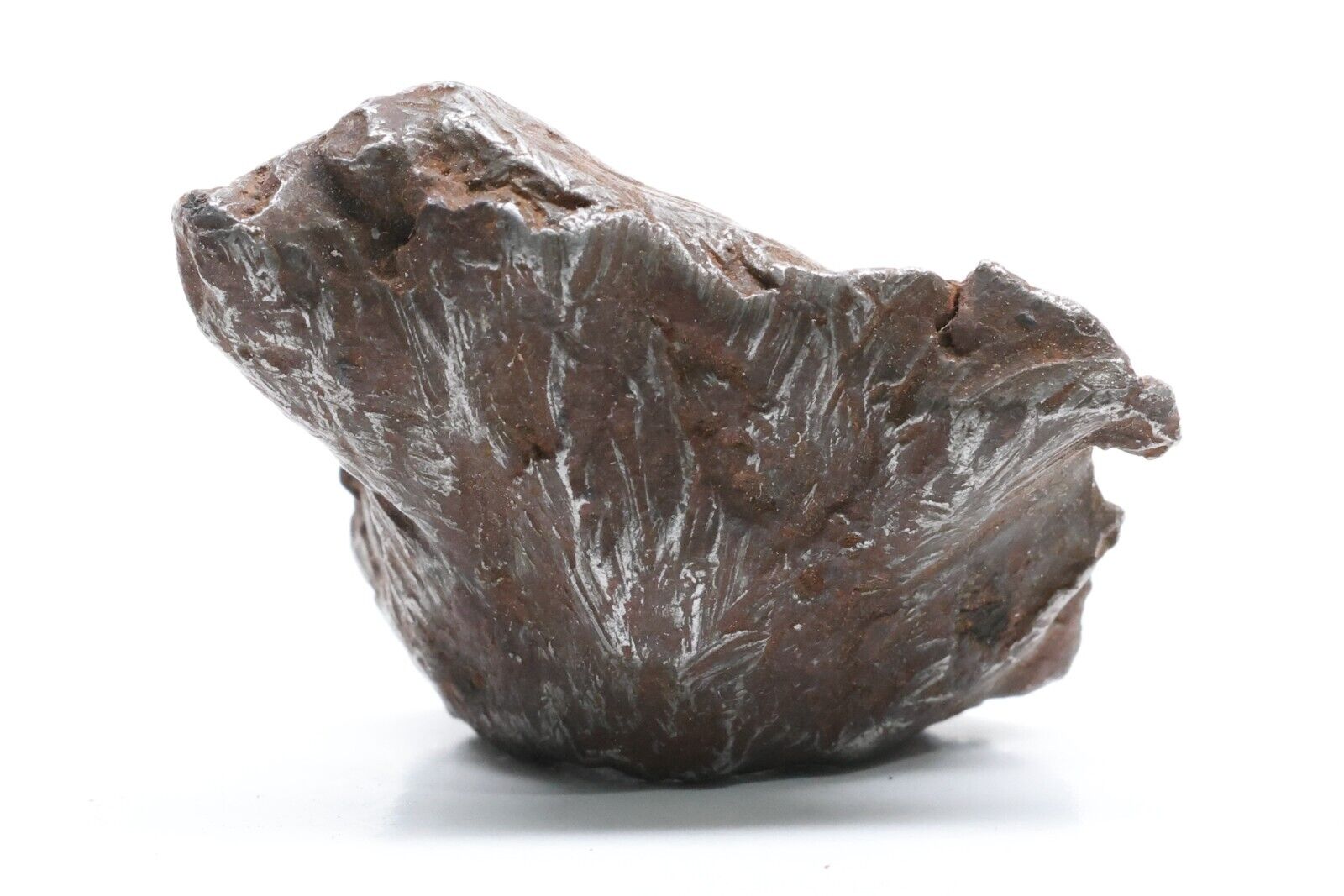 Sikhote-Alin Iron Meteorite Shrapnel Fragment: 21grams