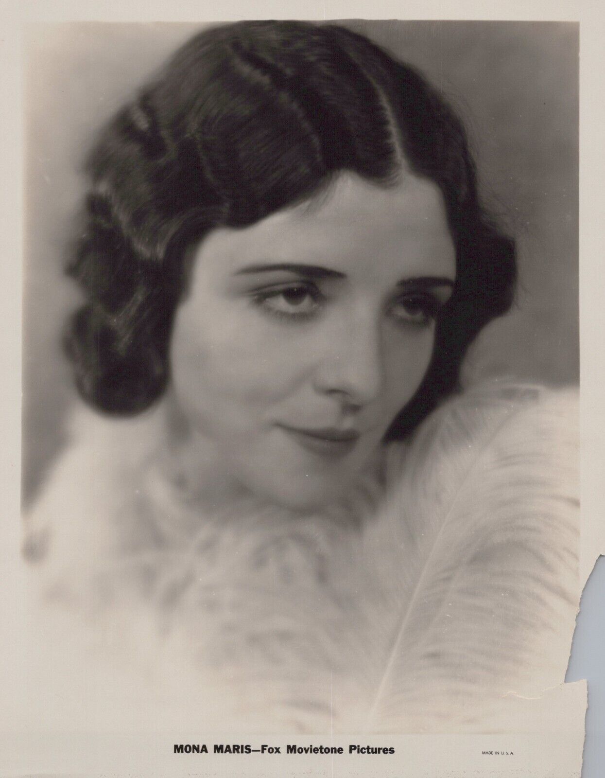 Mona Maris (1920) ❤🎬 Stunning Portrait - Original Vintage Movietone Photo K 247