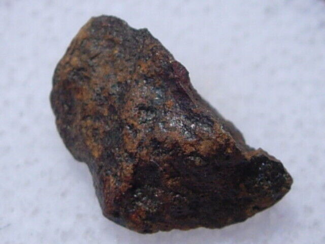 .805 grams NWA 6141 Meteorite fragments ( H5 ) Total Known Weight with a COA