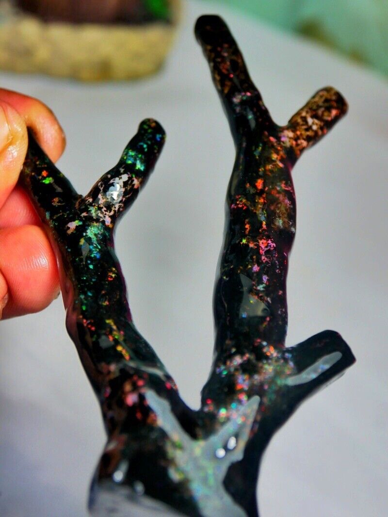 Indonesian Opalized Wood Tree Branch Fossil