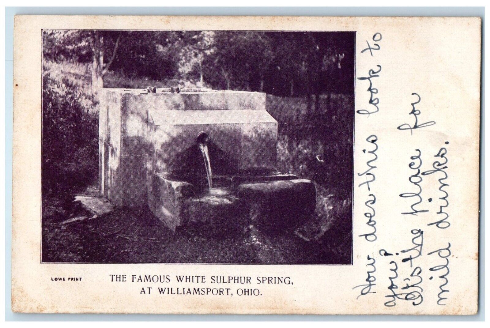 Williamsport Ohio OH Postcard White Sulphur Spring Exterior 1908 Vintage Antique