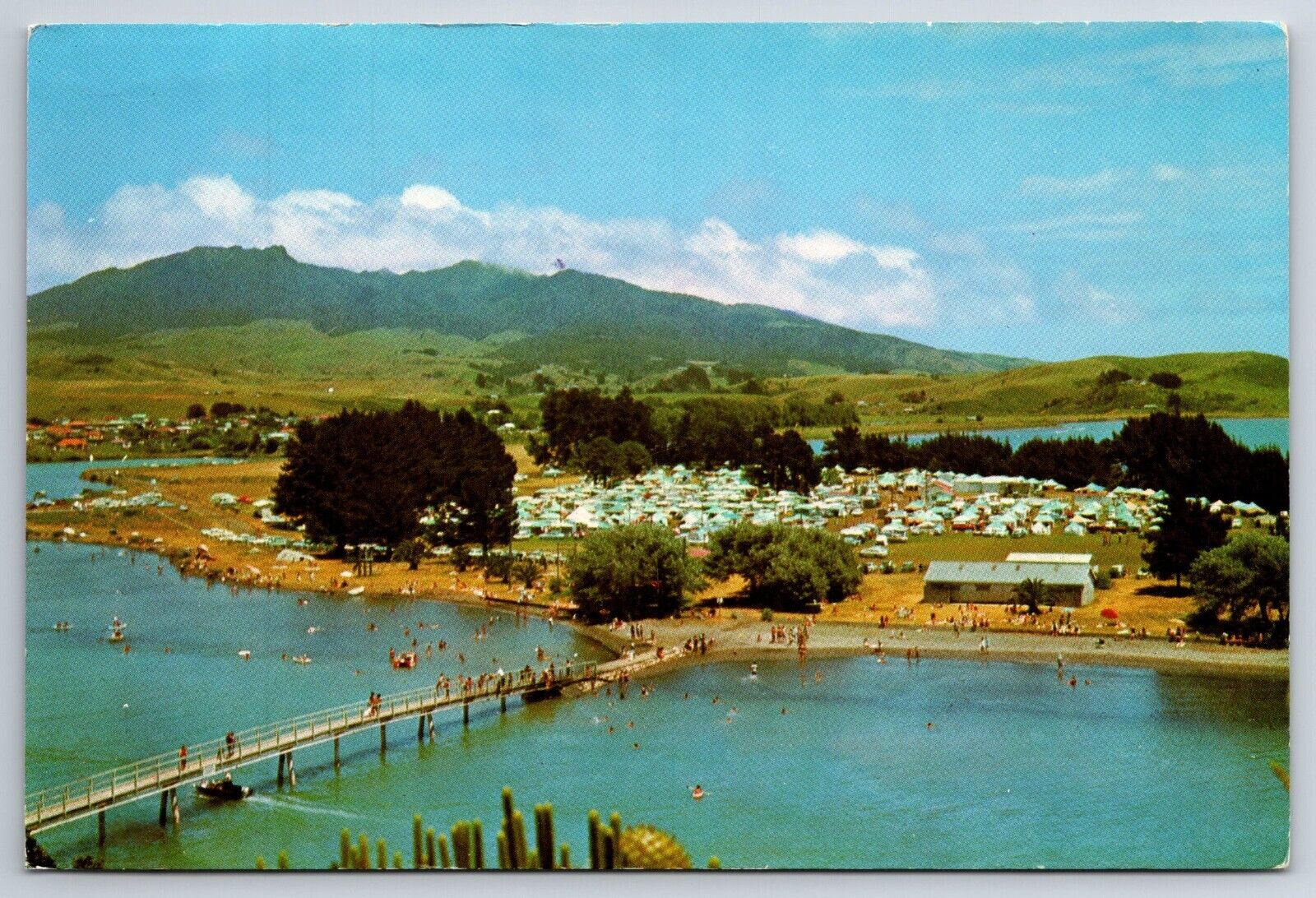 Raglan Motor Camp Resort New Zealand Vintage Postcard