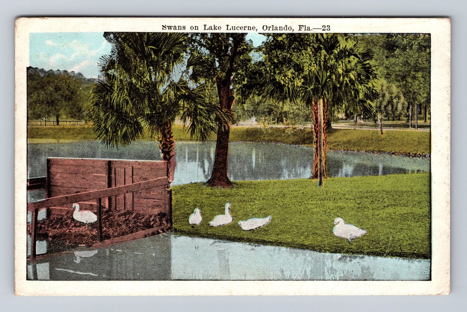 Orlando FL-Florida, Swans On Lake Lucerne, Antique, Vintage c1922 Postcard