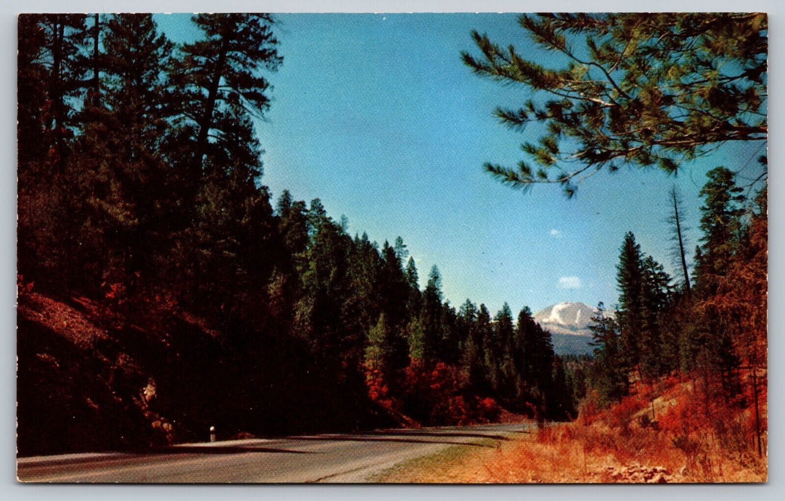 Highway 70, Mescalero Indian Reservation, Ruidoso NM New Mexico Vintage Postcard