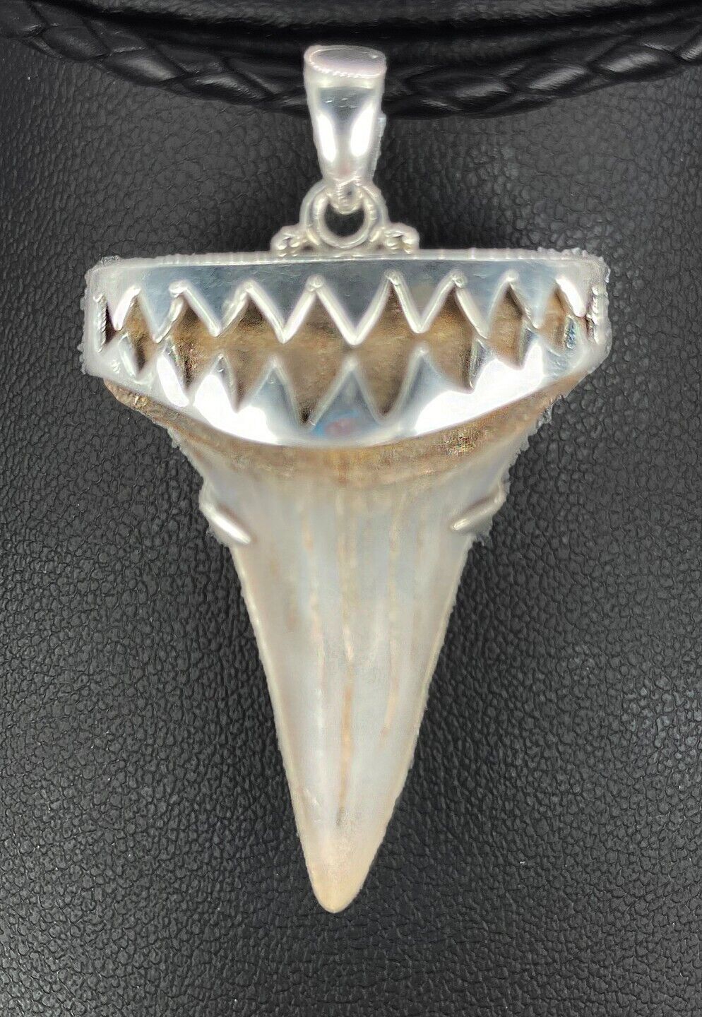 Fossil Shark Tooth Pendant – C. hastalis, Early White Shark Tooth, w/Silver Cap 