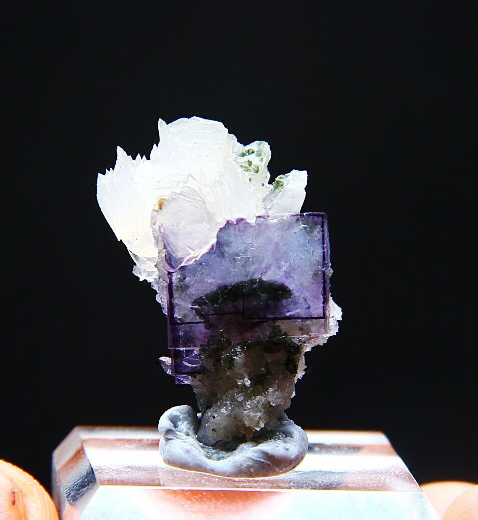 6.5 g Natural cubic blue-purple fluorite symbiosis floral calcite specimen/China