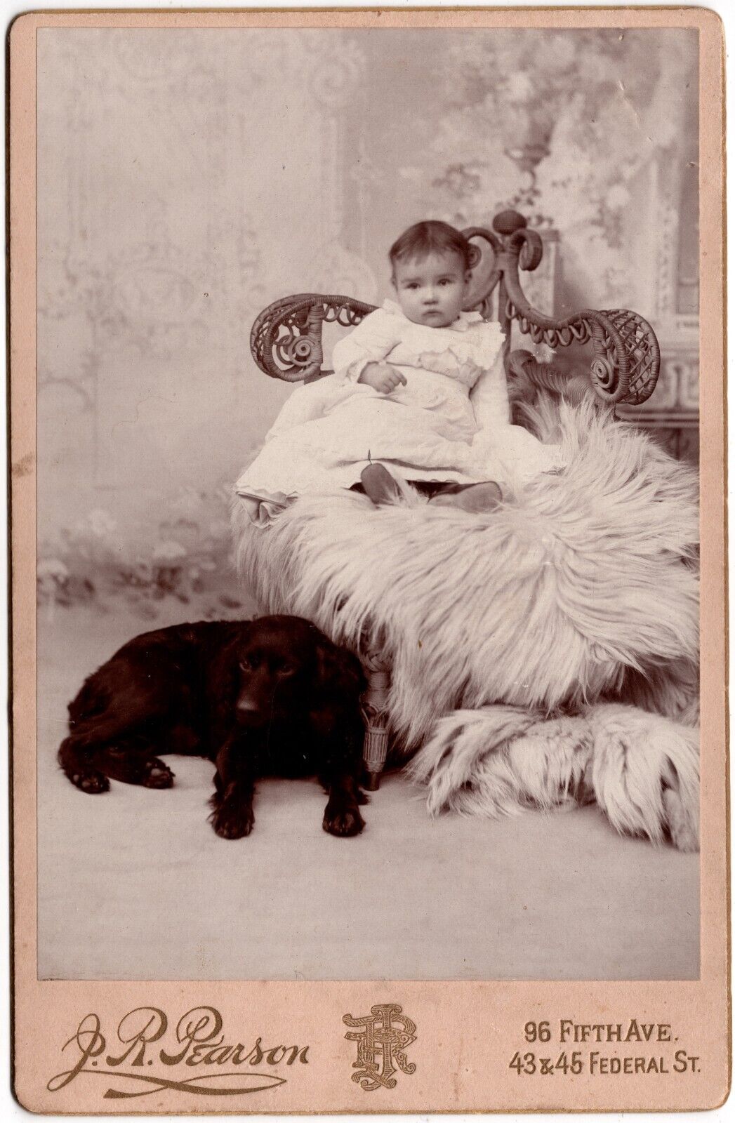 CIRCA 1890s CABINET CARD LITTLE GIRL WITH BOYKIN SPANIEL DOG ALLEGHENY CITY PA.