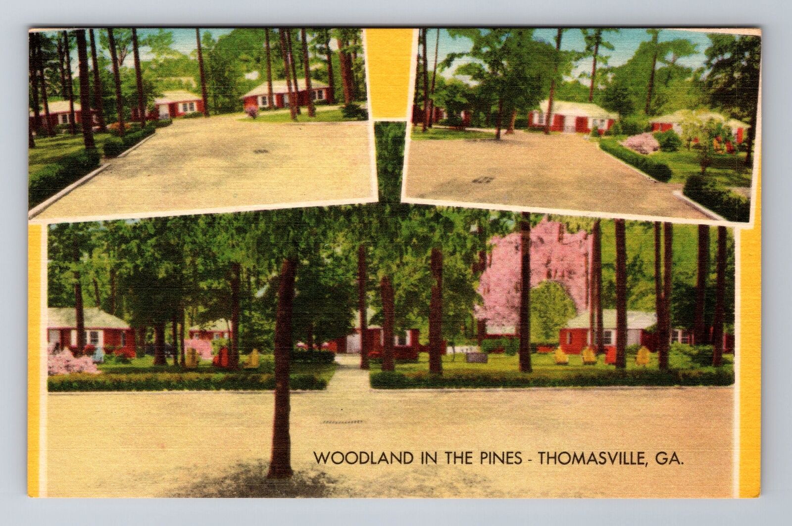 Thomasville GA-Georgia, Woodland In The Pines, Antique Souvenir Vintage Postcard