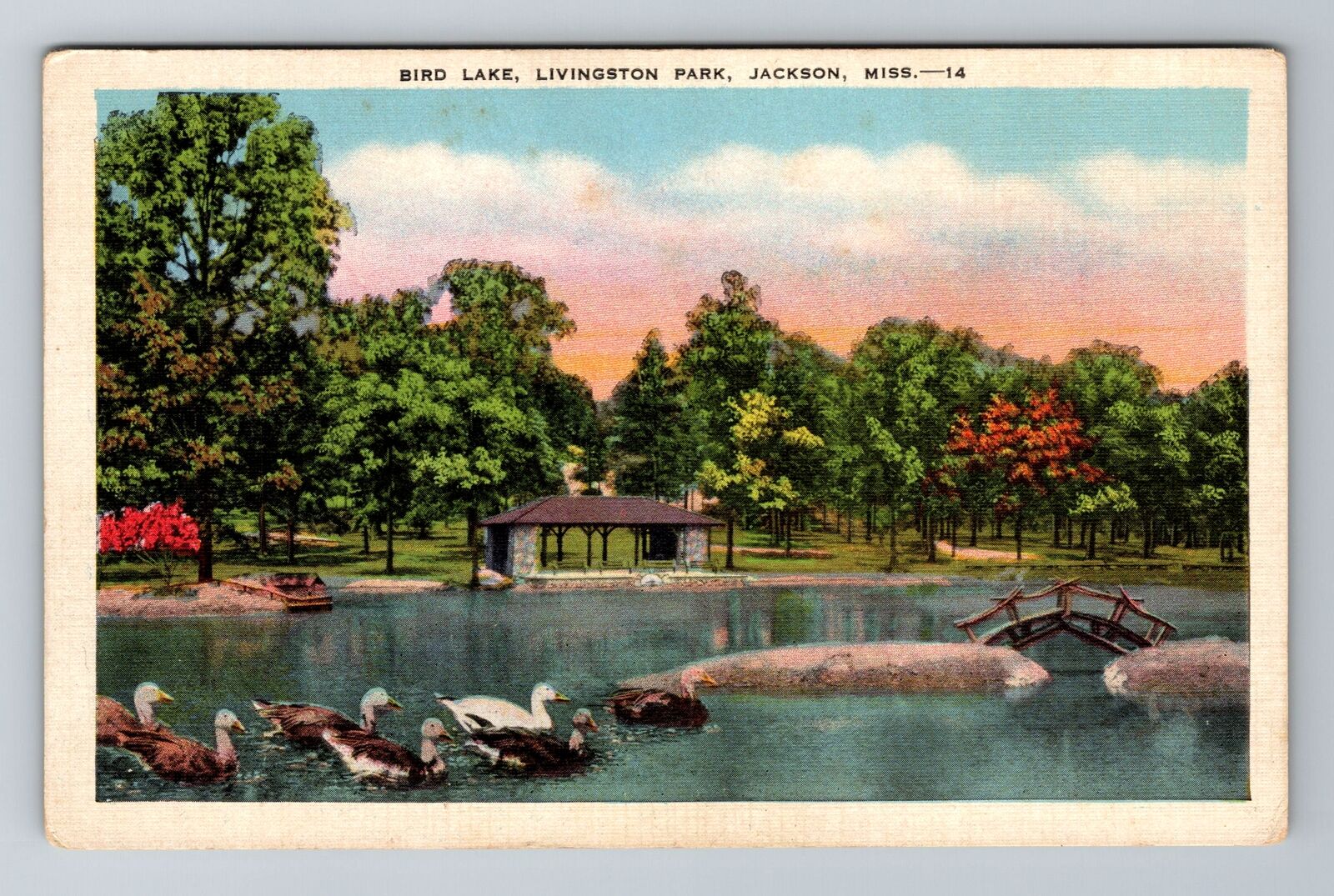 Jackson MS-Mississippi, Bird Lake, Livingston Park, Antique, Vintage Postcard