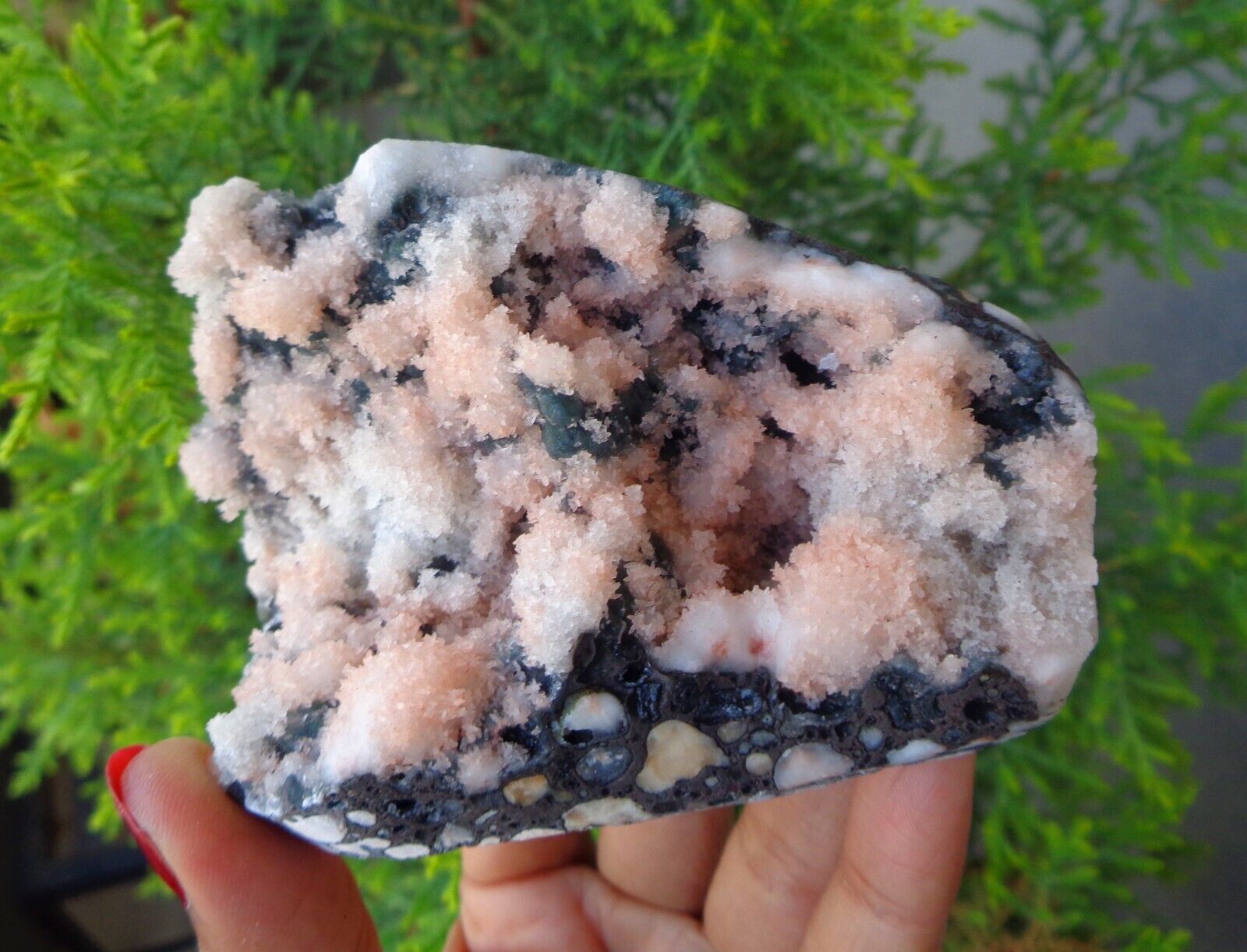 Chalcedony Coral On Matrix Minerals Specimen #F43