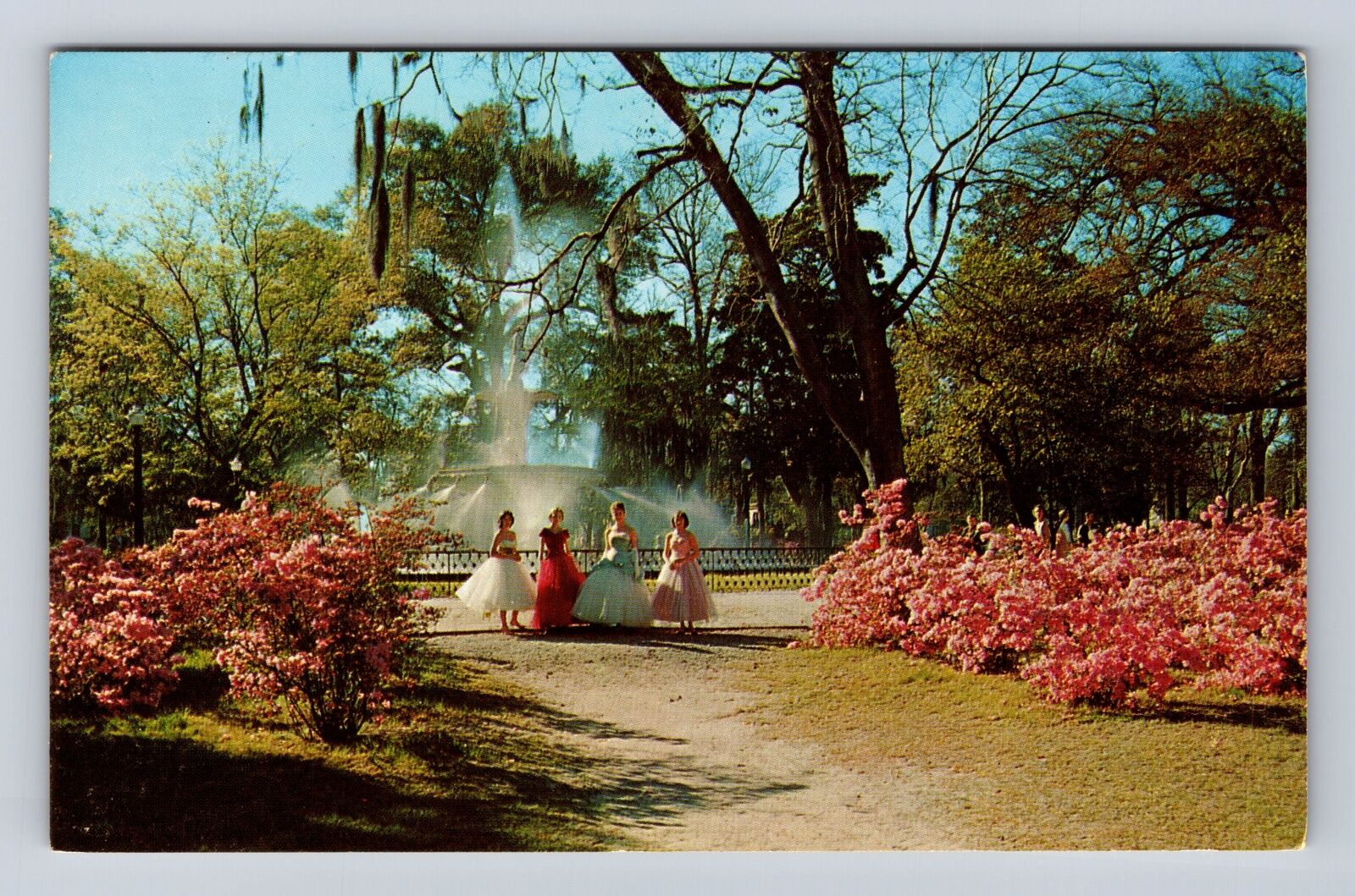 Savannah GA-Georgia, Forsyth Park, Azaleas, Fountain, Vintage Souvenir Postcard