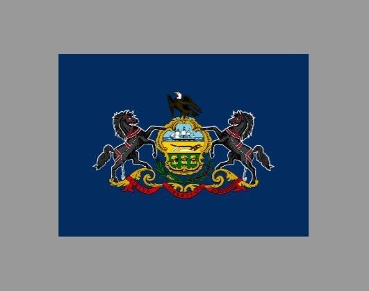Pennsylvania State Flag Die Cut Glossy Fridge Magnet