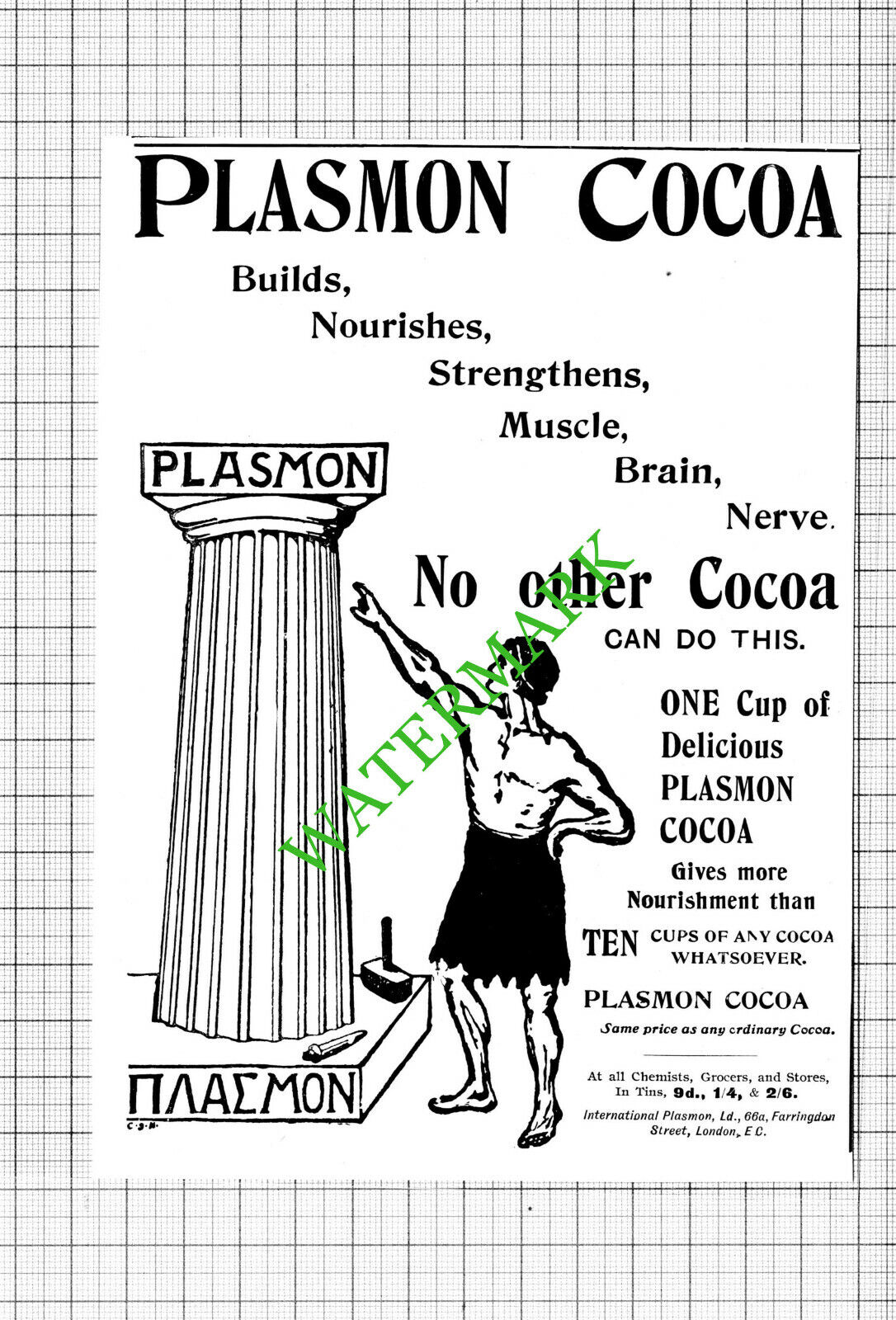 Plasmon Cocoa Small Advert - 1903 Cutting