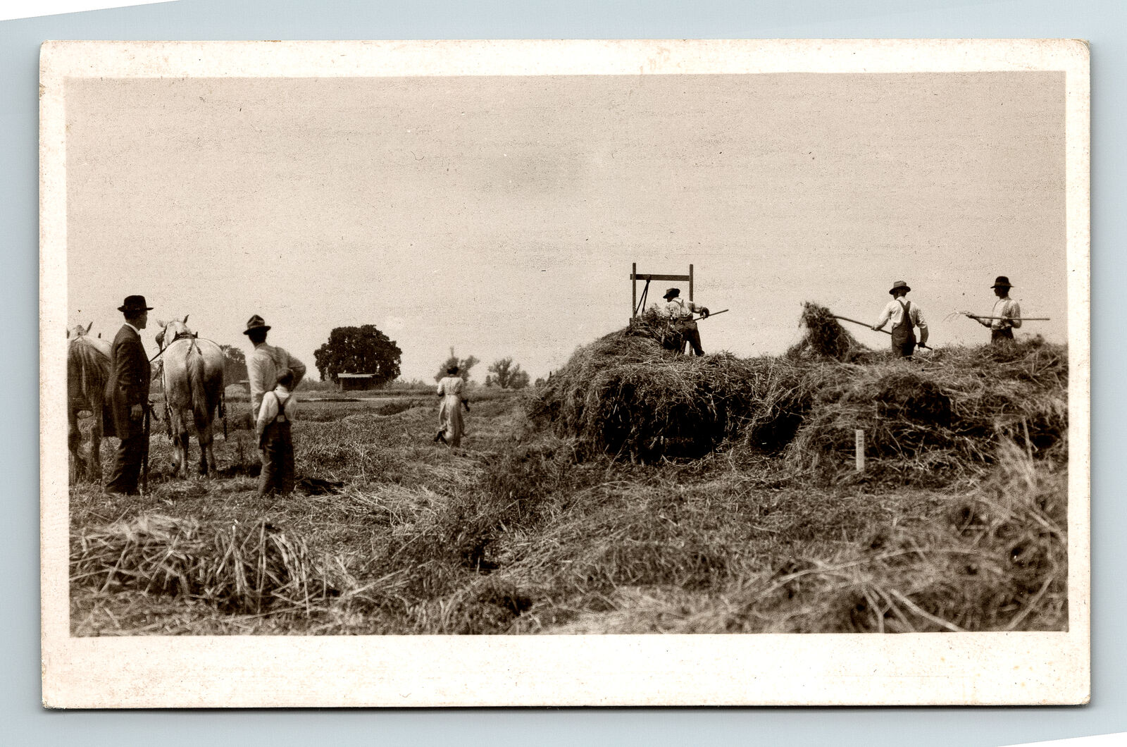 RPPC Postcard San Joaquin County CA California Developed Land Farm Workers