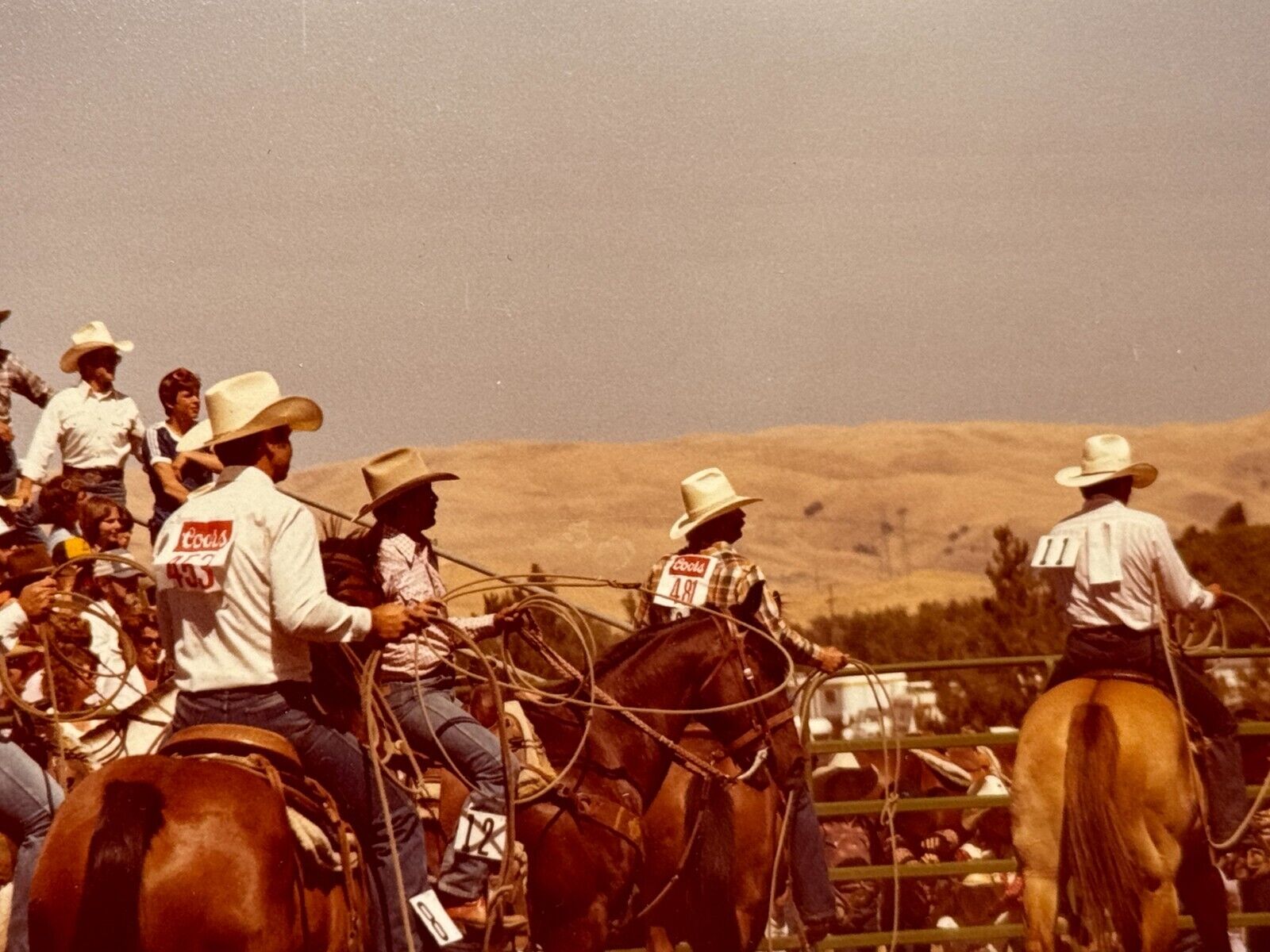 2G Photograph Rodeo View From Behind Backs Cowboys Hat Horses Lassos Coors Event