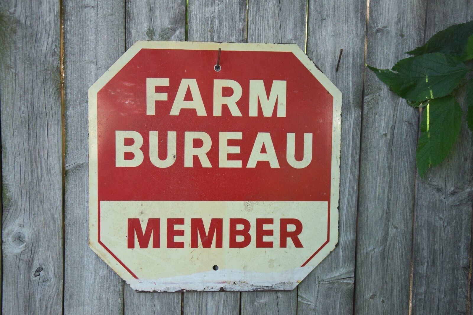 1960s 15x15 STOP FARM BUREAU MEMBER 2 SIDED PAINTED METAL SIGN WISCONSIN FIELD