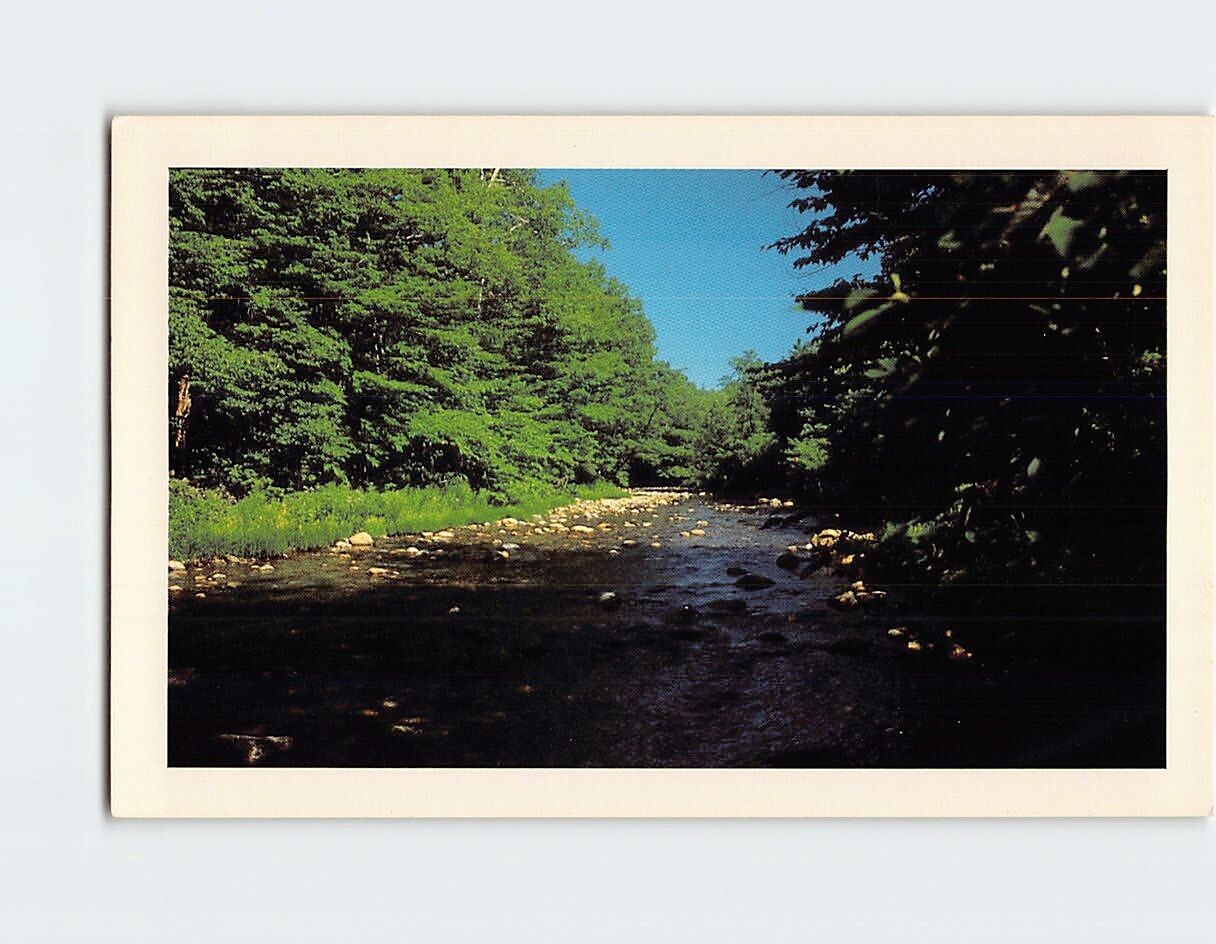 Postcard Ellis River White Mountains New Hampshire USA