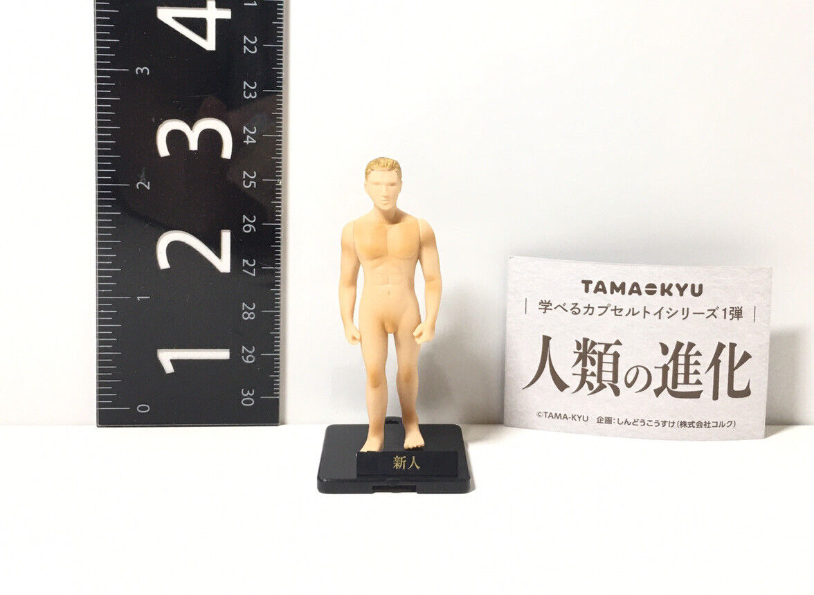 TAMA-KYU Human evolution Mascot Capsule Toy  Newcomer Gacha Figure