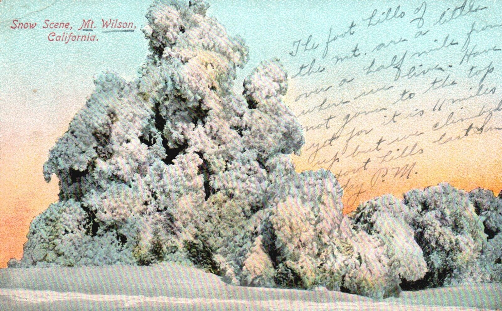 Mt. Wilson, California, CA, Snow Scene, 1913 Antique Vintage Postcard e6270