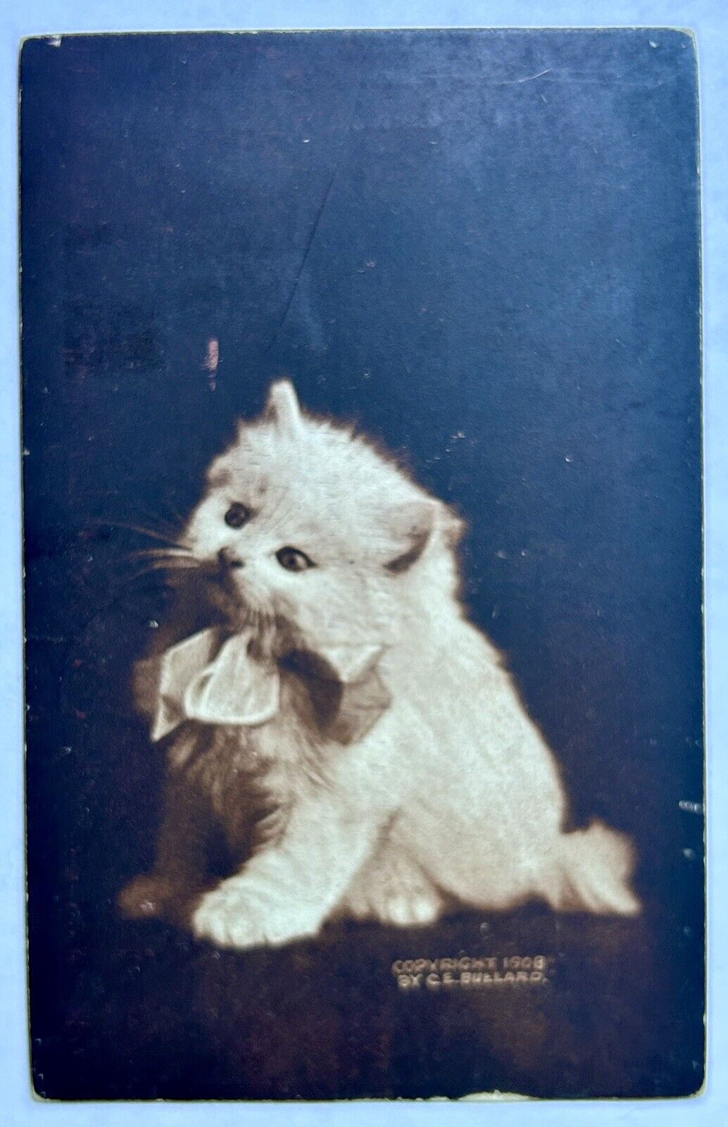1904 Kitten In Hat. My Masters Hat. Vintage Cat Postcard