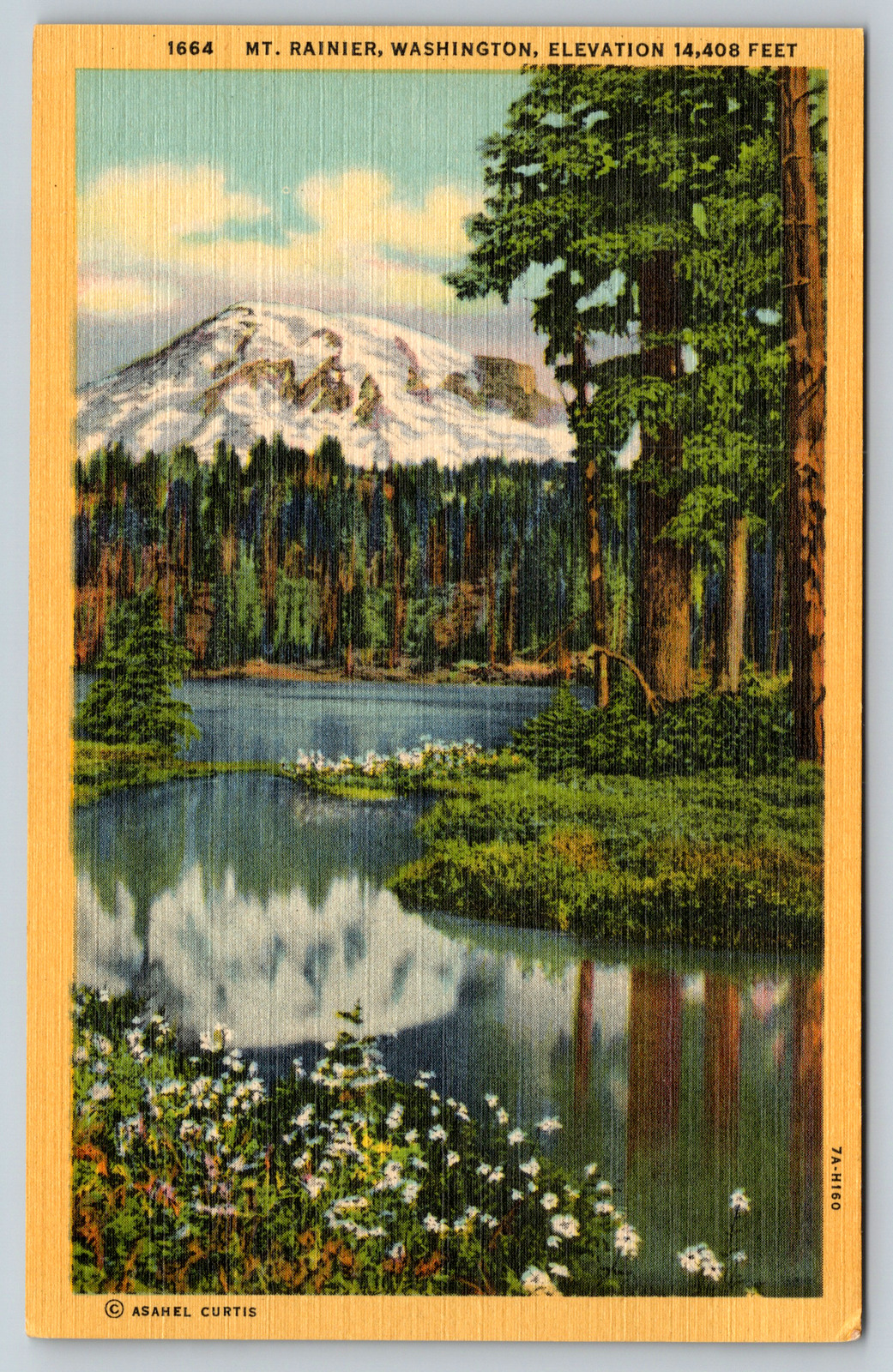Washington Rainier Glacial Mountain Snow Pup Elevation c1940s Vintage Postcard