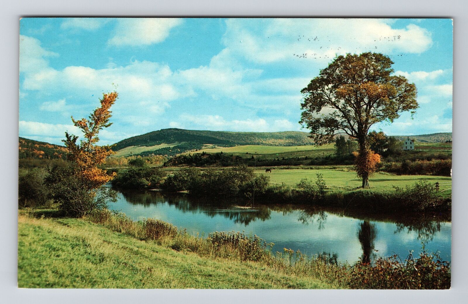 Keene ON-Ontario, Scenic View Pond, Vintage Postcard