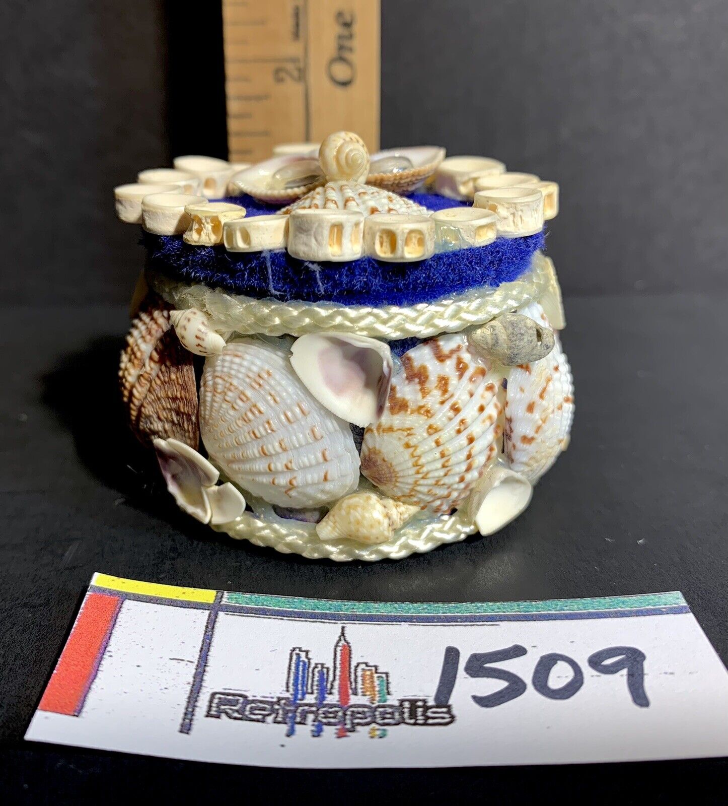 Vintage Sea Shell OWL Jewelry Keepsake Nautical TRINKET Box