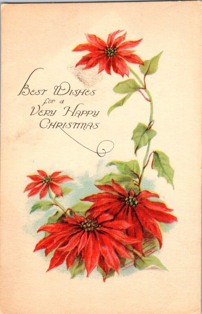 Vintage Early 1900's Christmas Postcard Poinsettias unposted great condition