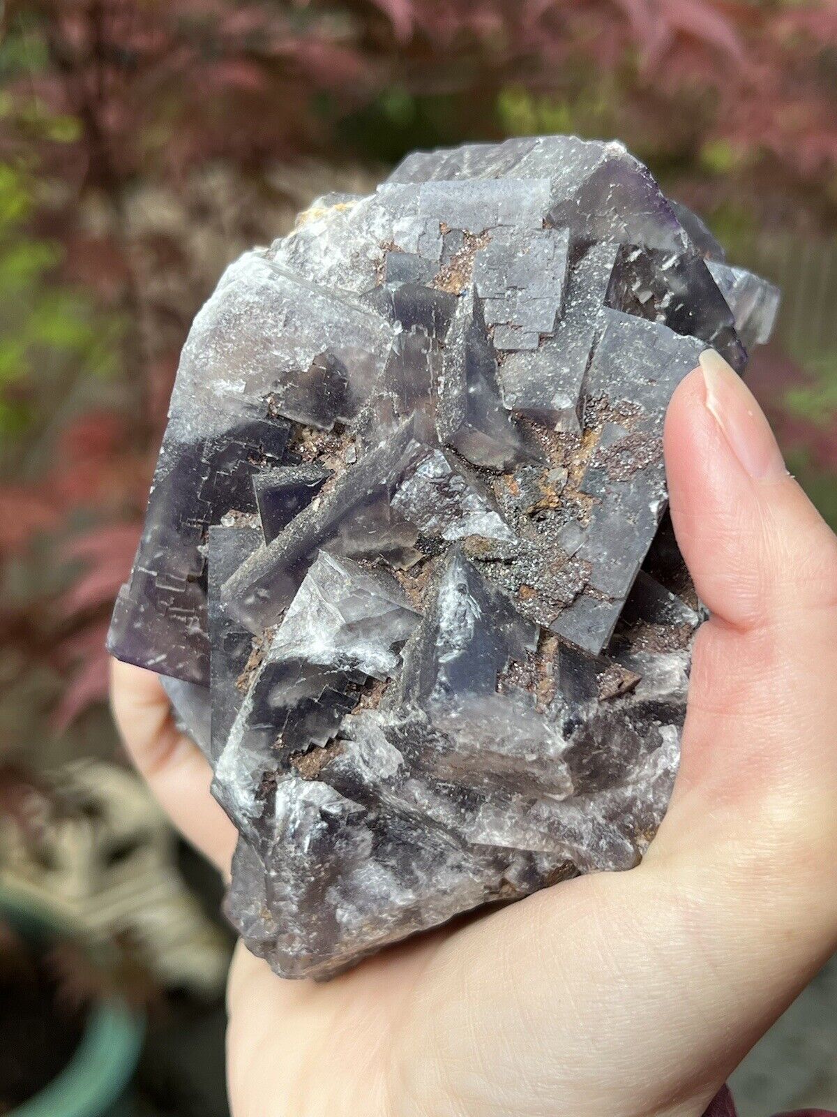 Greenlaws Mine UK Fluorite Purple Included Large British Cluster 1065g