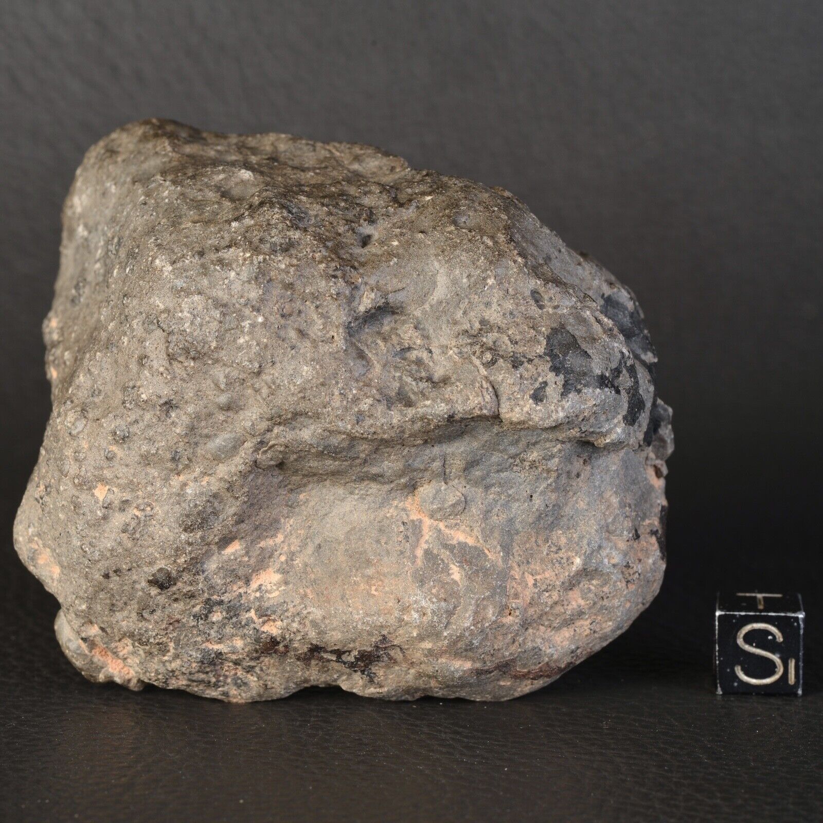 Meteorite Jikharra 001 Of 320,85 G Achondrite Eucrite Melt Breccia Hed #D82.1-14