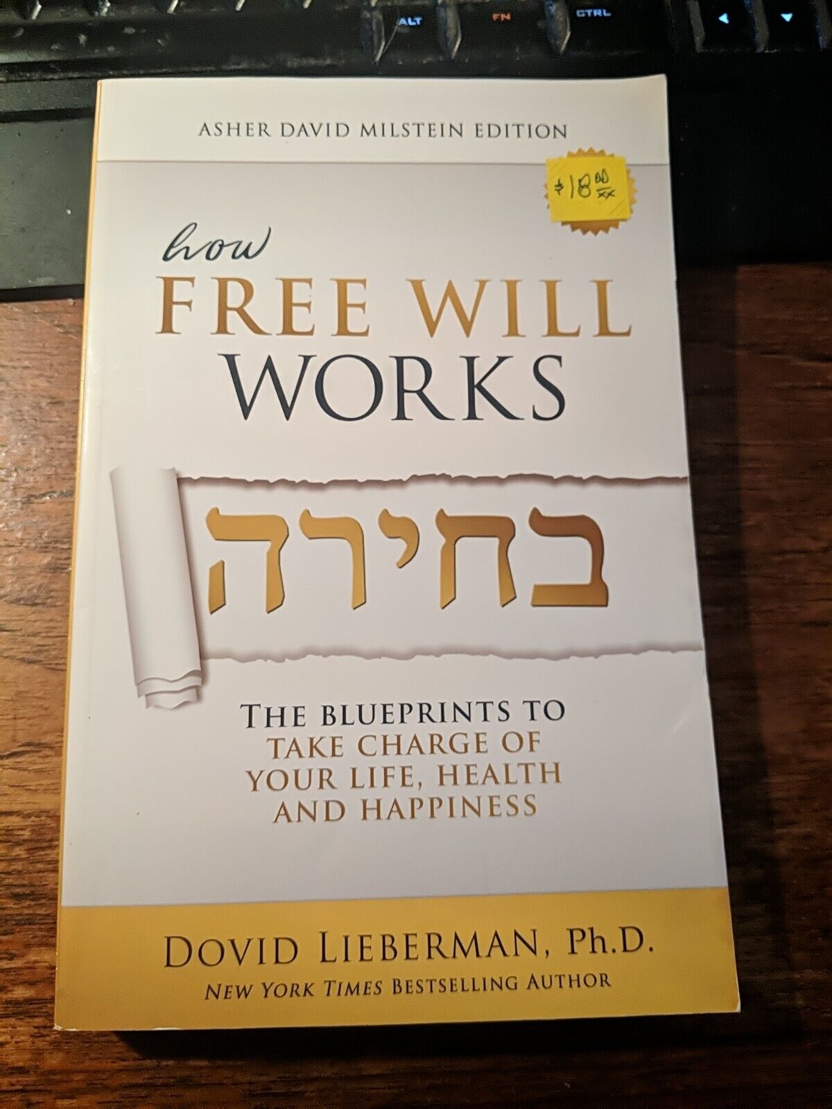 How Free Will Works by Dovid Lieberman  JEWISH GUIDE English Feldheim Paperback
