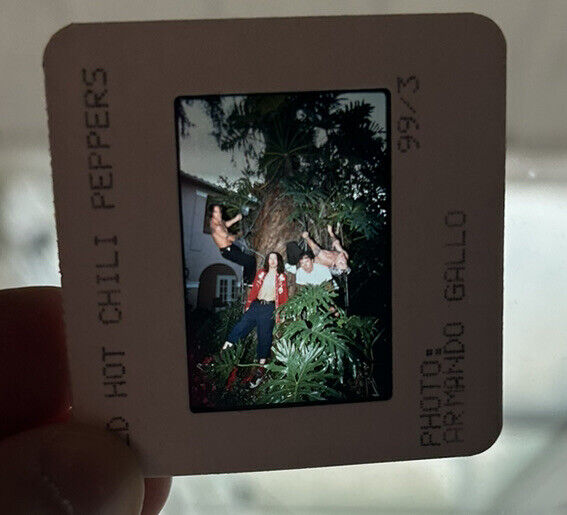 Vintage Red Hot Chili Peppers 35 mm Slide Press Release Photo A