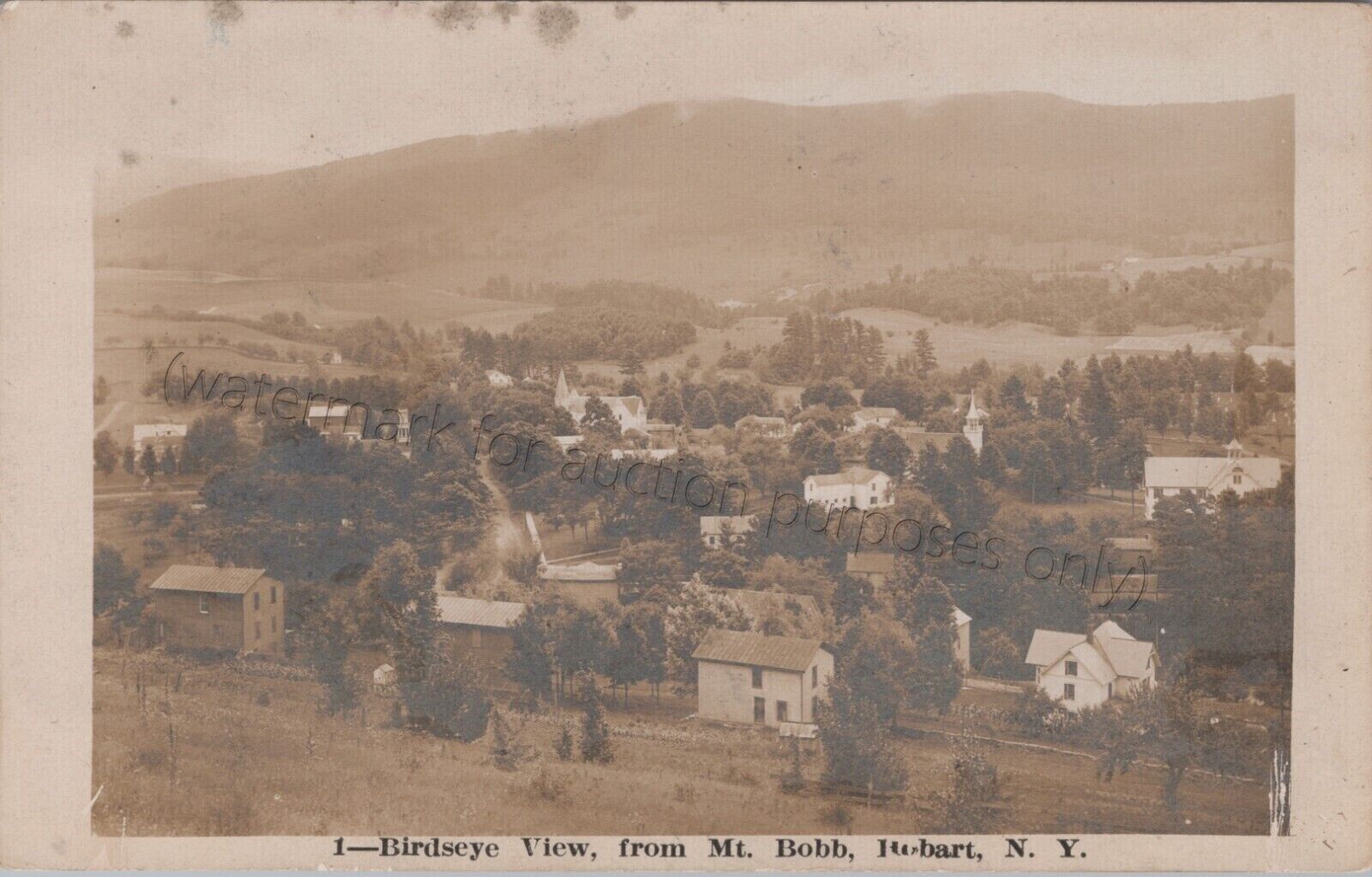 Hobart, NY RPPC Birdseye Mount Bob 1903, Catskill Mountains, Real Photo Postcard