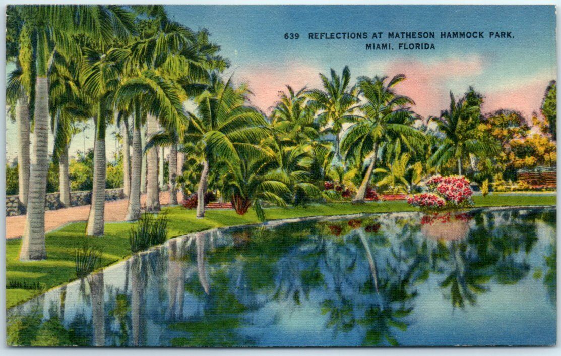 Postcard - Reflections at Matheson Hammock Park, Miami, Florida