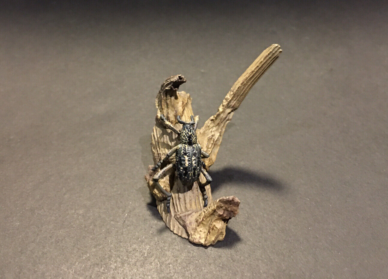 Rare Yujin Kaiyodo Large Weevil Beetle Insect PVC Figure Model