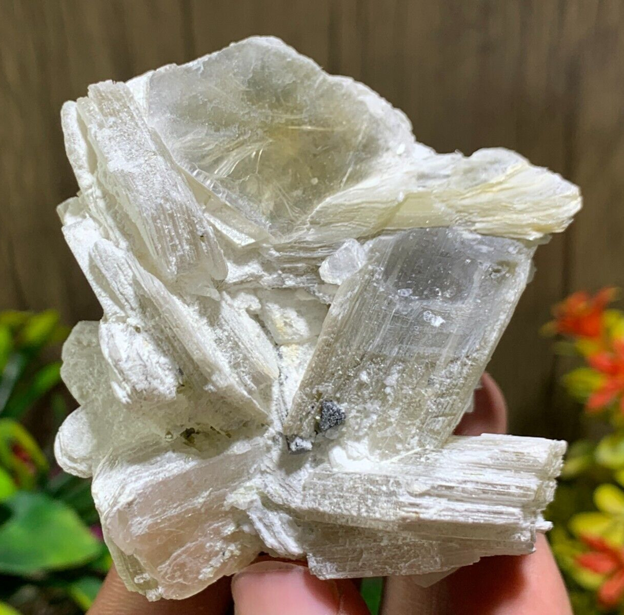 176 Gram Mica, feldspar, Tourmaline Crystals  Natural  stone Mineral.
