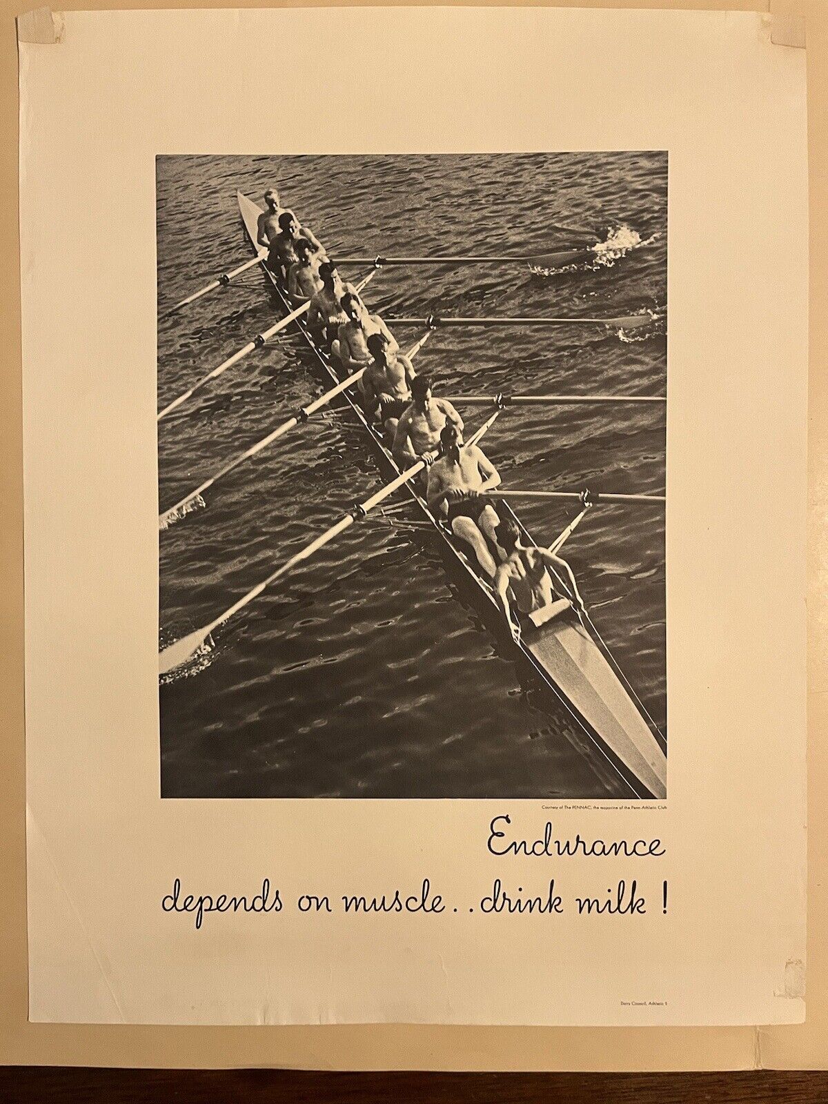 Endurance Depends On Muscle.. Drink Milk Original Vintage Poster circa~ MCM Crew