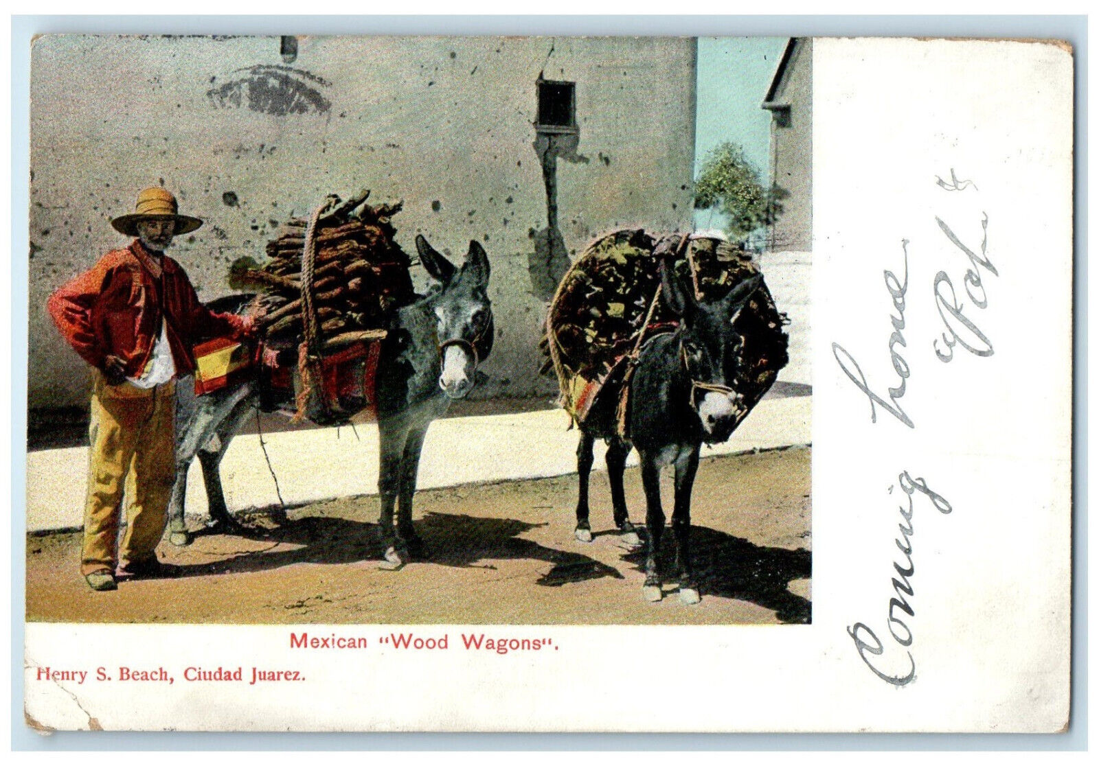 1907 Man with Mexican Wood Wagons Carried By Bucks Posted Antique Postcard