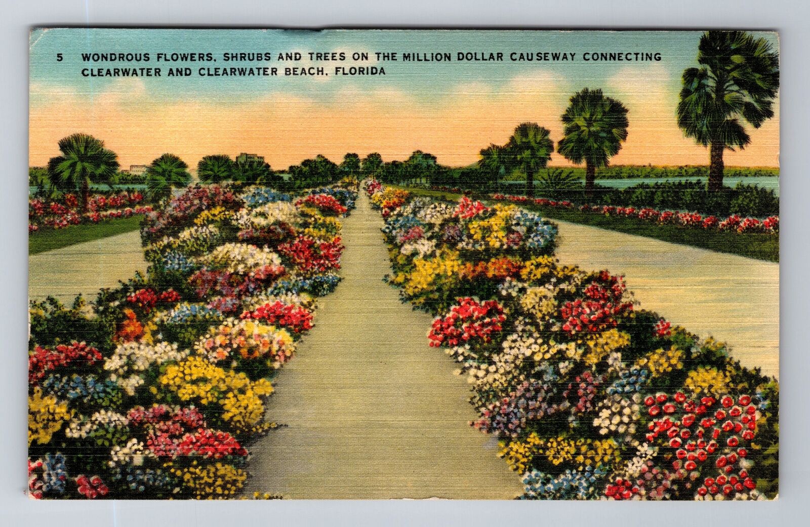 Clearwater Beach FL-Florida, Flowers Along Causeway, Vintage c1942 Postcard
