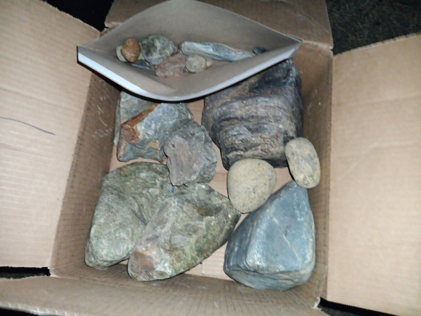 #1Lot Of  9 Rocks,fills large Flat Rate - ComeS With Bonus Pack Variety Small...
