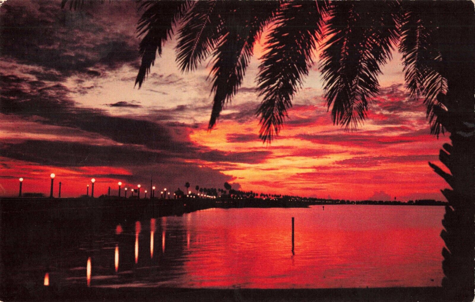 Tavares Florida, Causeway Sunset Lights, Vintage Postcard