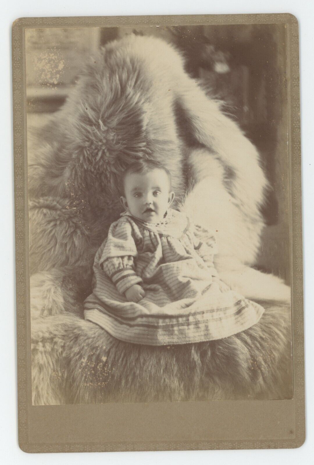 Antique c1880s Cabinet Card Adorable Baby Hidden Mother Under Fur Clinton, IA