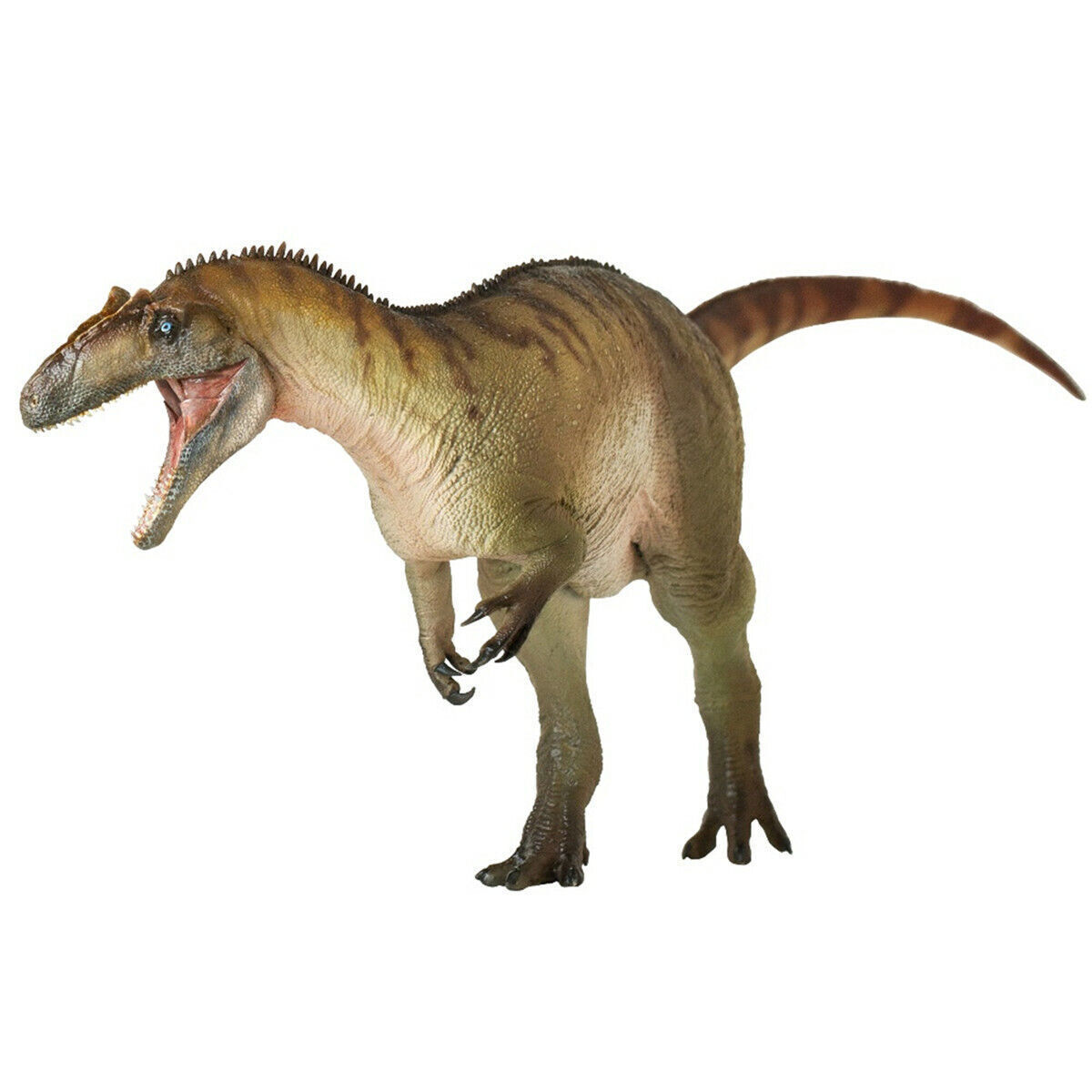 Allosaurus Paul Model Allosauridae Dinosaur Figure Animal Collector Decor