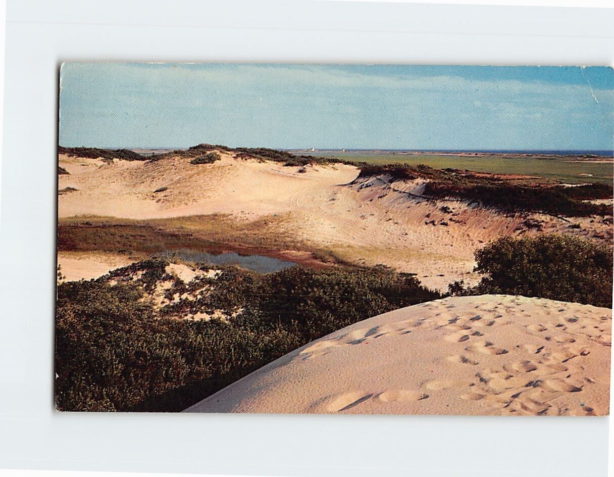 Postcard My Footprint On The Cape Cod Sand Dunes Cape Cod Massachusetts USA