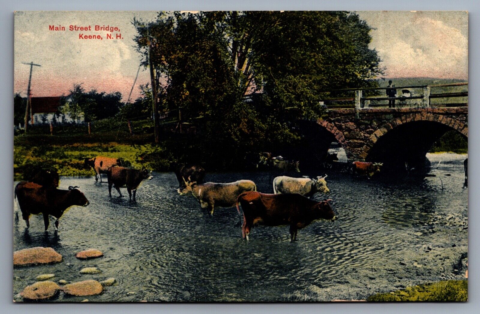 Postcard Main Street Bridge Cattle People Keene New Hamphire c1910 Unposted