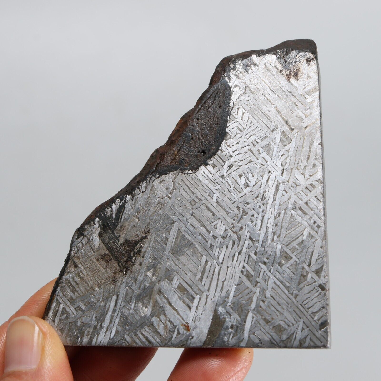 165g Muonionalusta Meteorite ,  Naturally Iron Meteorite square slice F219