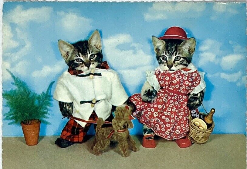 TWO CATS with Dog DOLLS FAIRY TALE Kruger, made in Western Germany POSTCARD, New