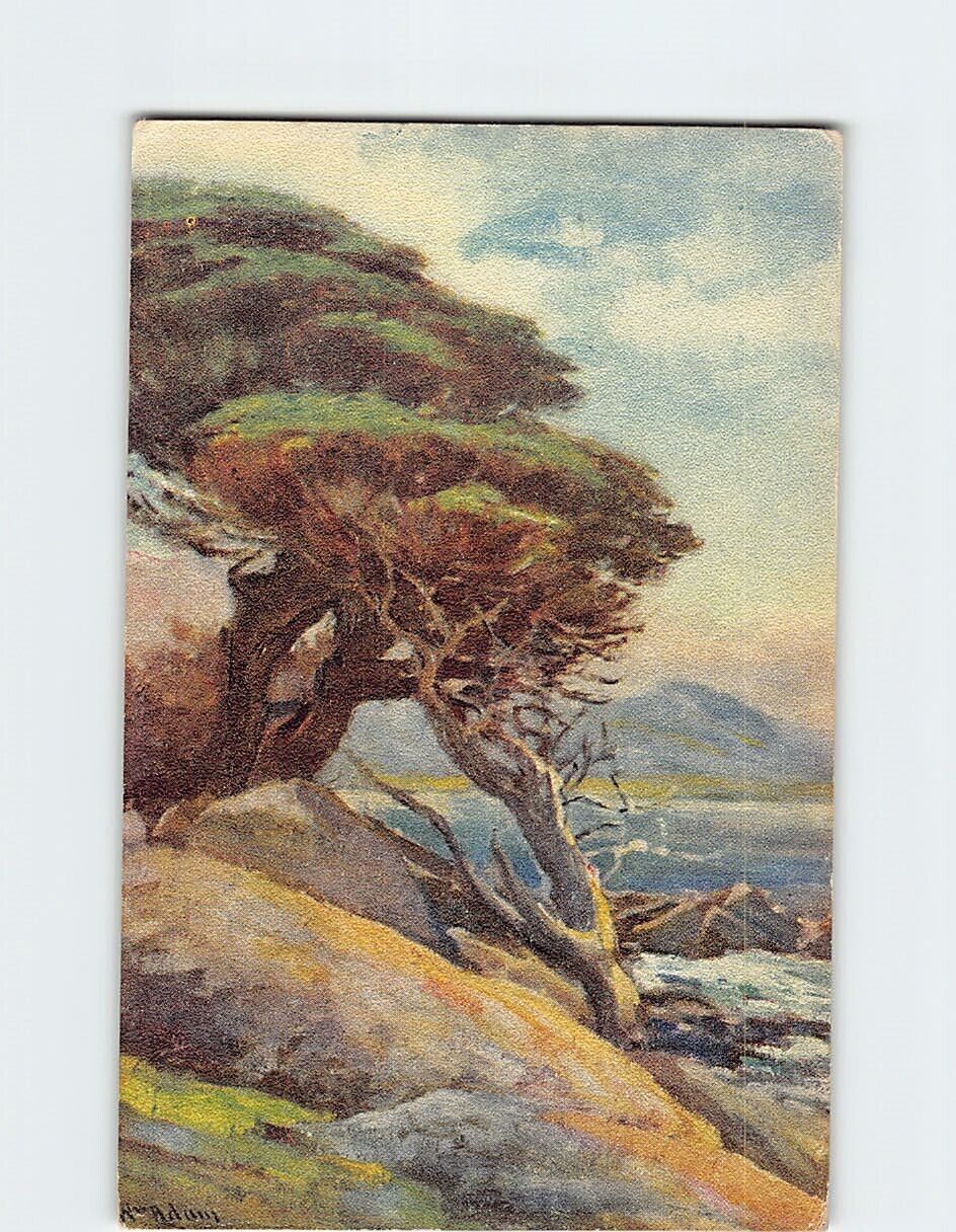 Postcard Cypress Trees of 17 Mile Drive Pebble Beach California USA