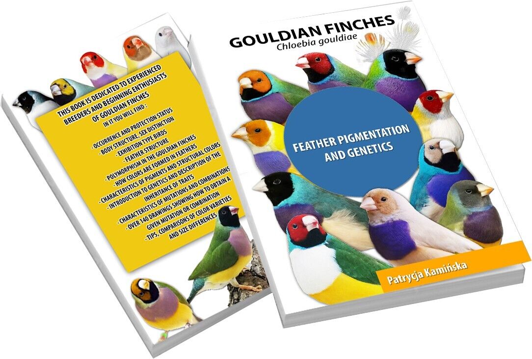 Gouldian Finches - Feather pigmentation and genetics